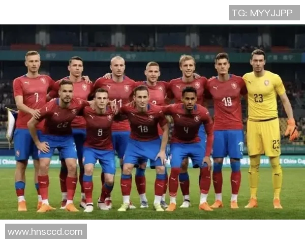 2016年捷克与俄罗斯足球对决回顾与精彩瞬间分析